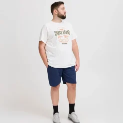 Blend Herre Shorts -