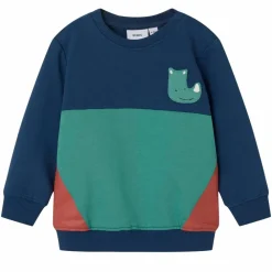 Børn Guppy Dalius Drenge Sweatshirt -