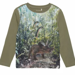 Børn Minymo Dinosaur Drenge Langærmet t-shirt -